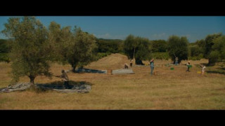 Кадр з фільму Моє велике грецьке весілля 3