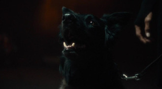 Кадр з фільму Друг