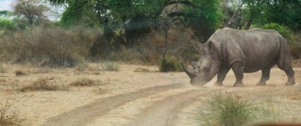 Кадр з фільму Хижаки