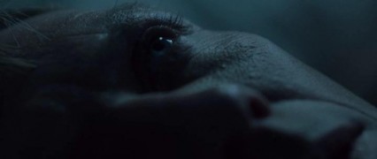 Кадр з фільму Агент Гамільтон: В інтересах нації