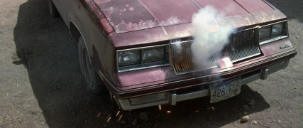 Кадр з фільму Незакінчене життя