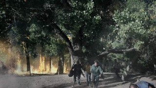 Кадр з фільму Ураган 500 миль на годину