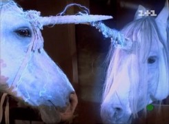 Кадр з фільму Маленький єдиноріг