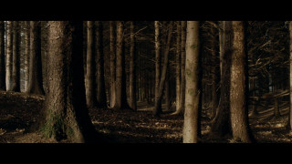 Кадр з фільму Торнадо