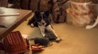 Кадр з фільму Сімейна зустріч