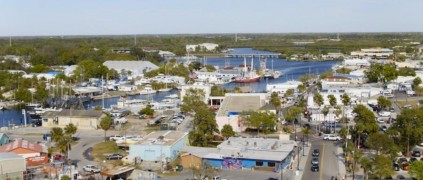 Кадр з фільму Дельфін Берні 2