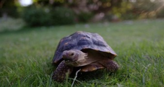 Кадр з фільму Крихітка