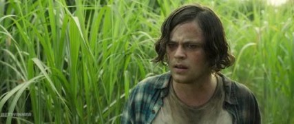 Кадр з фільму У високій траві