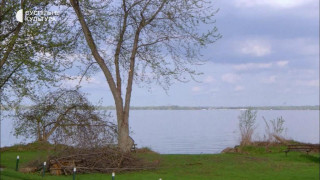 Кадр з фільму Серце на гачку