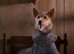 Кадр з фільму Зевс і Роксана