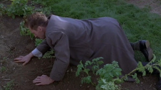 Кадр з фільму Павук