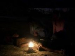 Кадр з фільму Лють грізлі