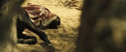 Кадр з фільму Пропозиція