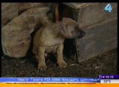 Кадр з фільму Джок