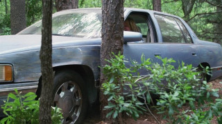 Кадр з фільму Теммі