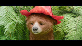 Кадр з фільму Пригоди Паддінгтона в Перу