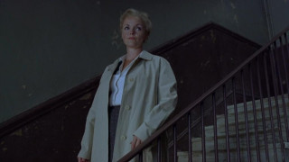 Кадр з фільму Павук