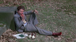 Кадр з фільму Будяк