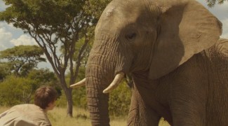 Кадр з фільму Проти природи: Велика подорож слонів