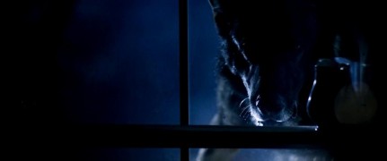 Кадр з фільму Земля привидів