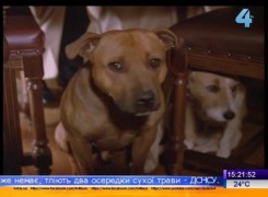 Кадр з фільму Джок