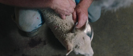 Кадр з фільму Ковтай