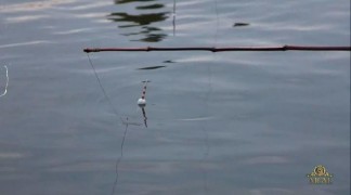 Кадр з фільму Передати у спадок