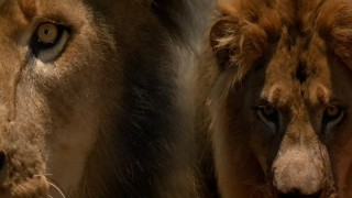 Кадр з фільму Привид та Пітьма