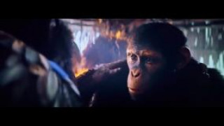 Кадр з фільму Королівство планети мавп