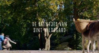 Кадр з фільму Втеча зі шлюбу