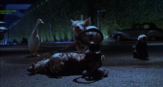 Кадр з фільму Бейб: Поросятко у місті