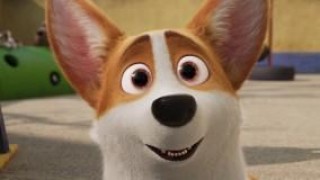 Кадр з фільму Королівський коргі