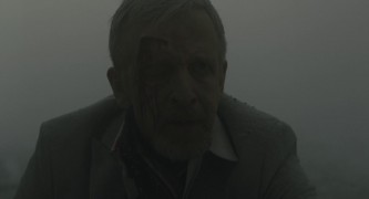 Кадр з фільму Щиголь