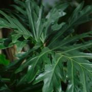 Кадр з фільму Всередині