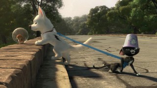 Кадр з фільму Вольт