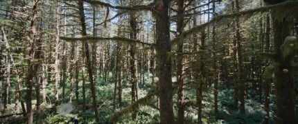 Кадр з фільму Стартрек: За межами Всесвіту