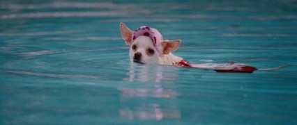 Кадр з фільму Крихітка з Беверлі-Гіллз