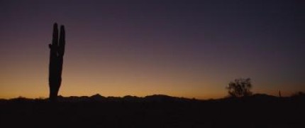 Кадр з фільму Земля кочівників