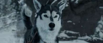 Кадр з фільму Поклик пращурів