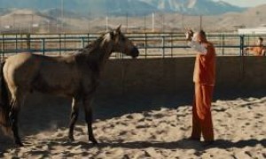 Кадр з фільму Мустанг