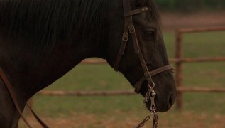 Кадр з фільму Стрілець