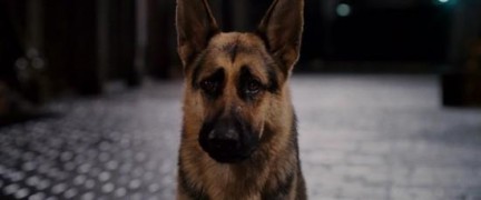 Кадр з фільму Крихітка з Беверлі-Гіллз