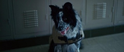 Кадр з фільму Різдвяне пограбування