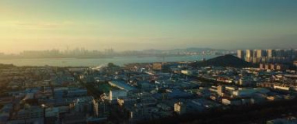 Кадр з фільму Звір