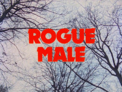 Кадр з фільму Самотній вовк