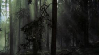 Кадр з фільму Нові витівки Еміля з Льоннеберґи