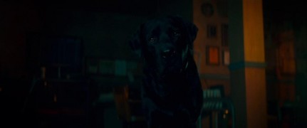 Кадр з фільму Страшні історії для розповіді у темряві