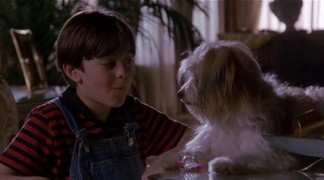 Кадр з фільму Рай для брехуна