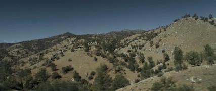 Кадр з фільму Крива лінія