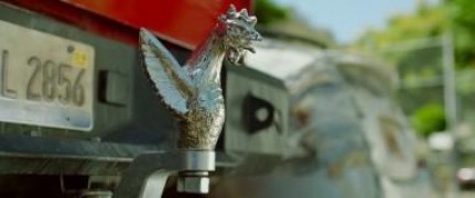 Кадр з фільму Кутіс